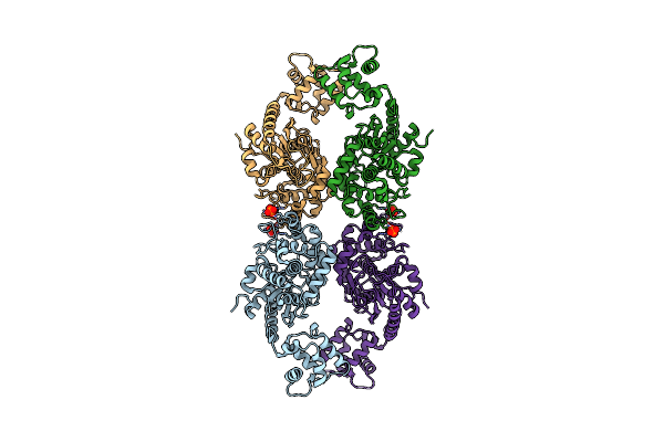 8IMB image