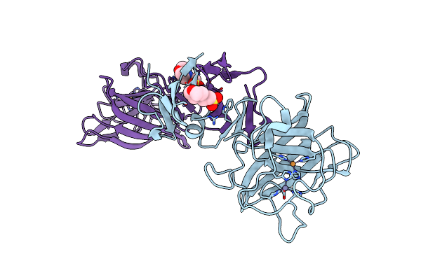 8IMD image