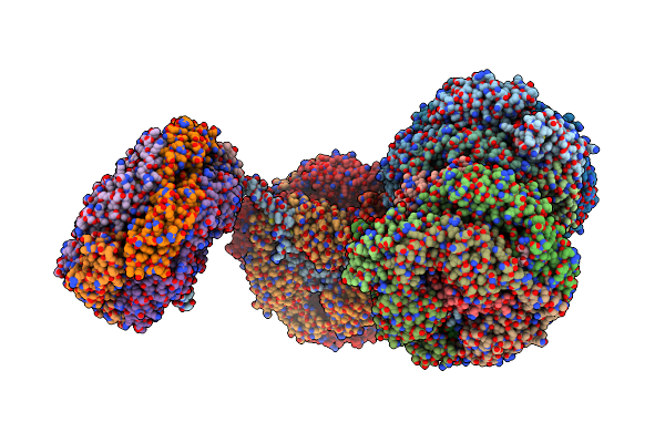8IMI image