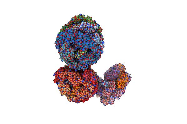 8IMJ image
