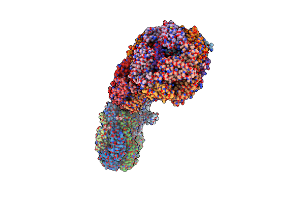 8IMM image