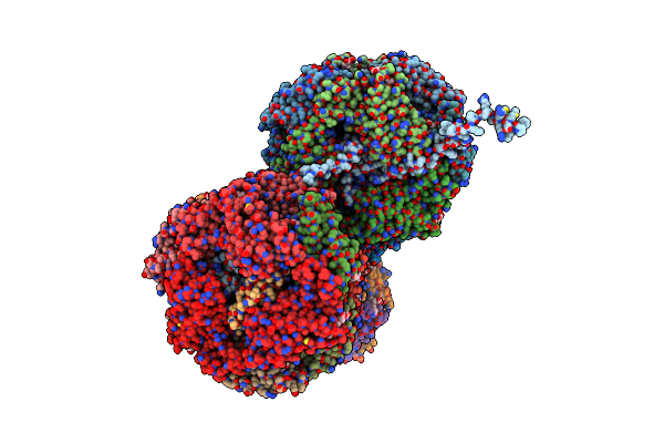 8IMO image