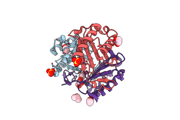 8IMR image