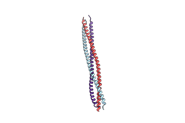 8IMS image