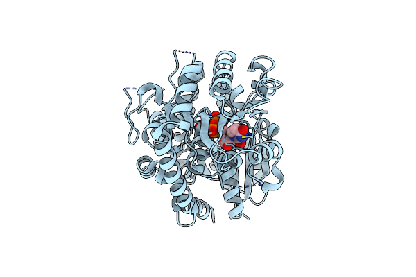 8INA image