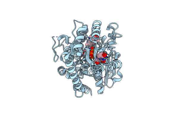 8IND image