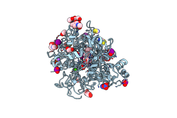 8ING image