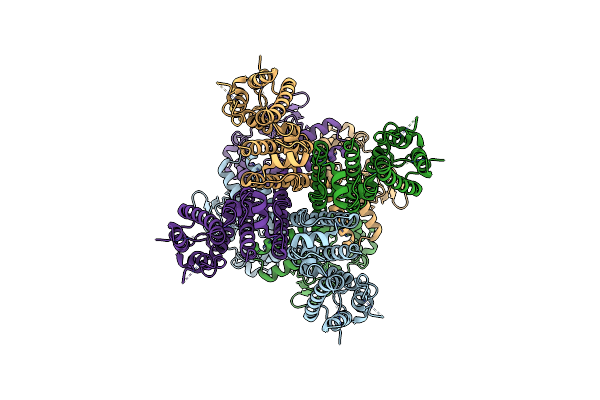 8IOB image