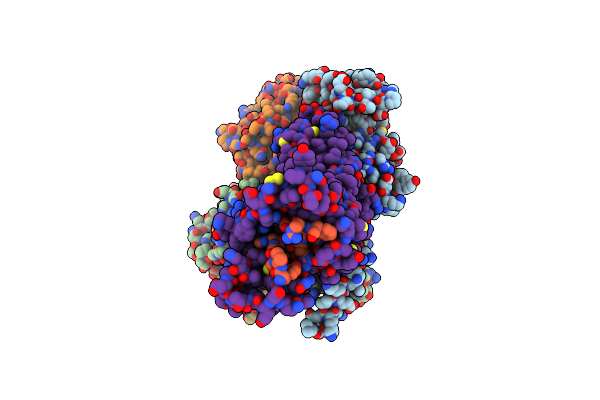 8IOC image