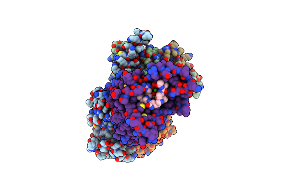 8IOD image