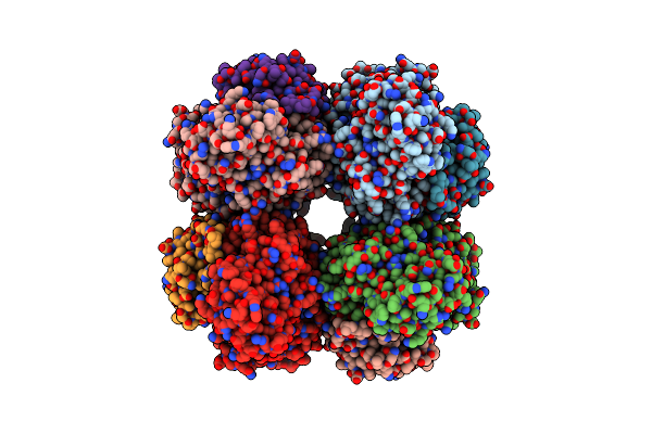 8IOL image