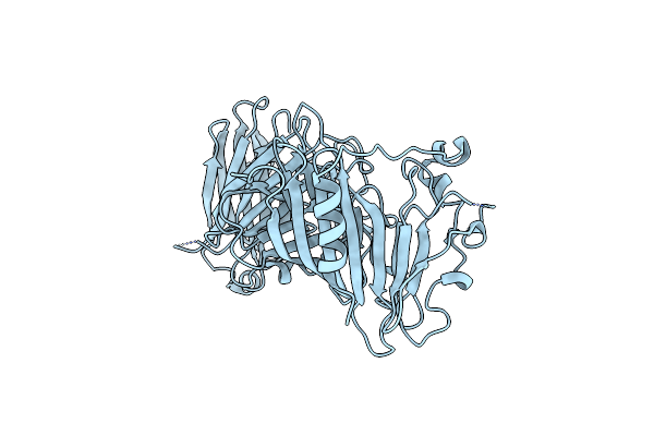 8IP2 image
