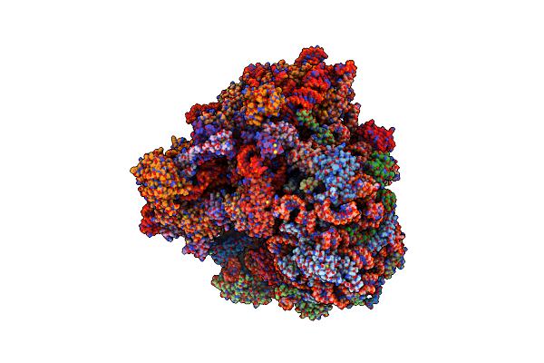 8IPA image