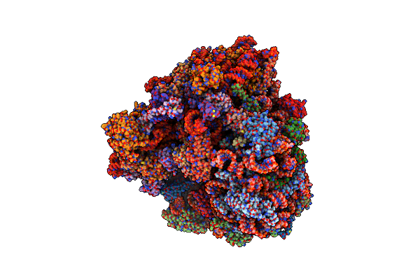 8IPB image