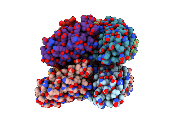8IPF image