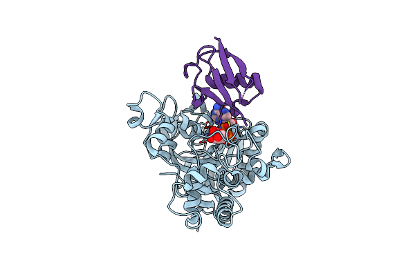 8IPJ image