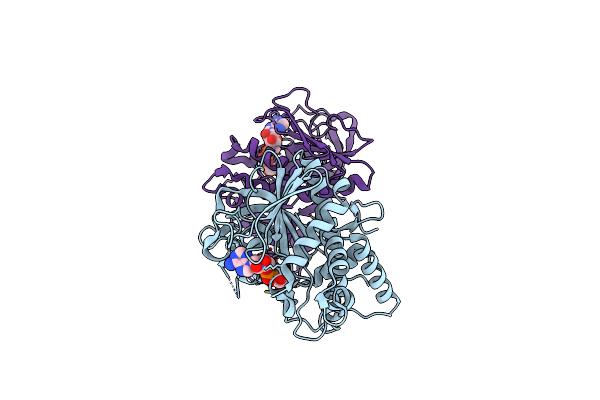 8IPW image