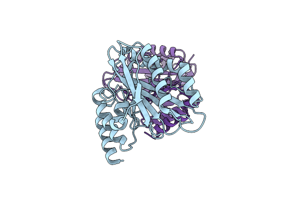 8IQB image