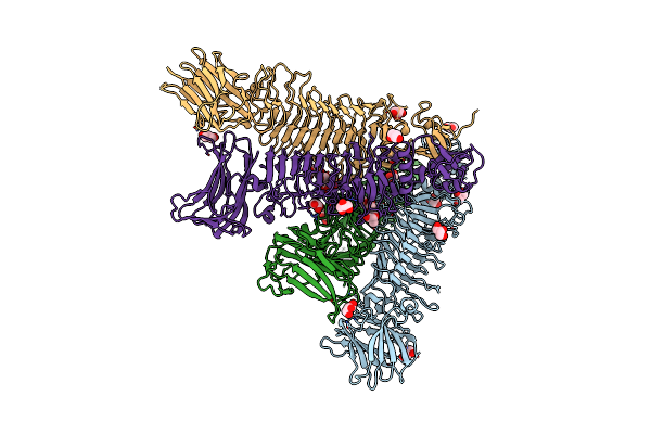 8IQE image
