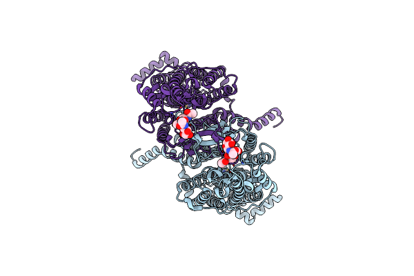 8IRM image