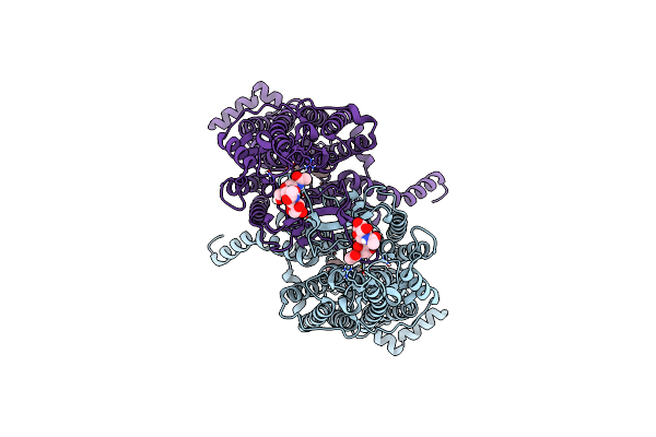 8IRN image