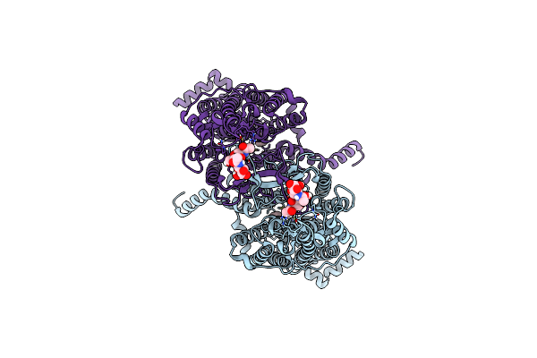 8IRP image