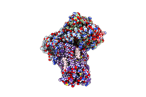 8IRR image