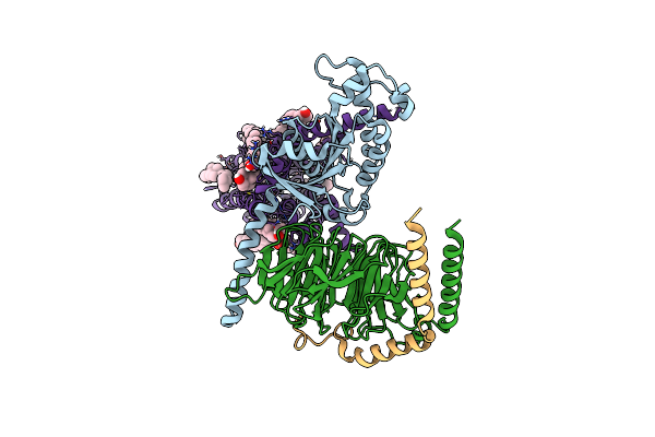 8IRV image