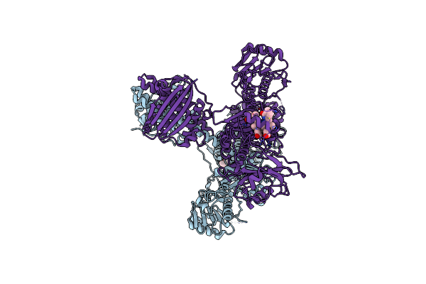 8ISJ image