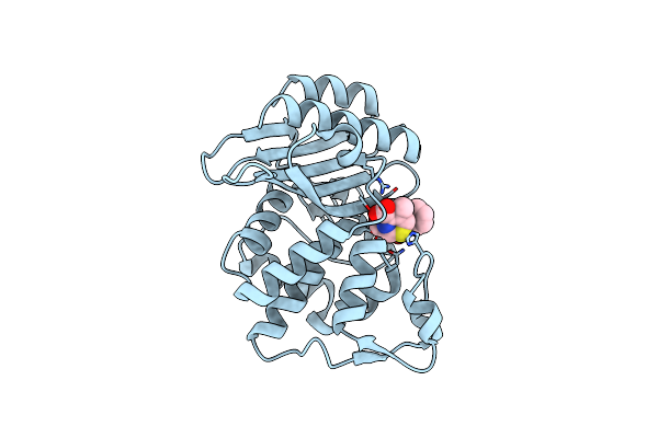 8ISP image