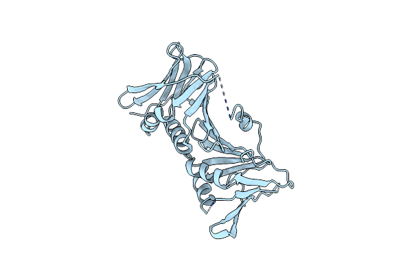 8ITE image