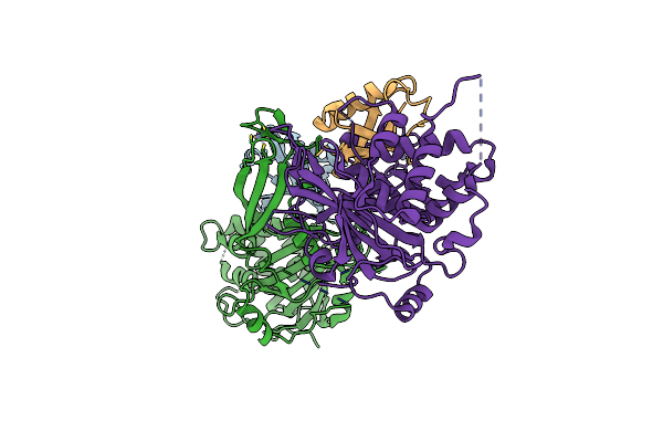 8ITP image