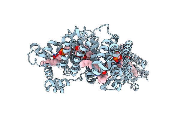 8ITR image
