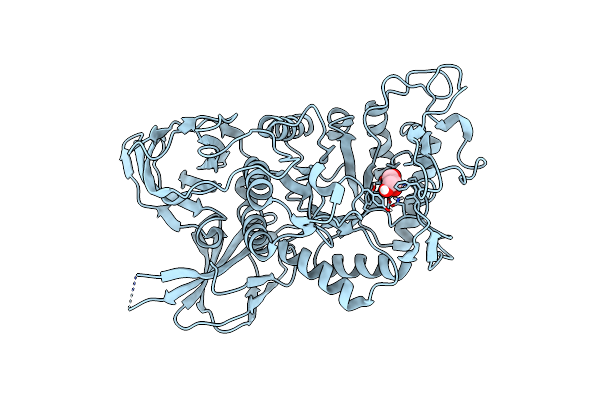 8IU8 image