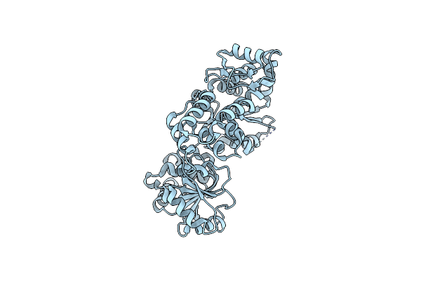 8IUD image