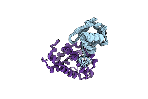 8IVB image