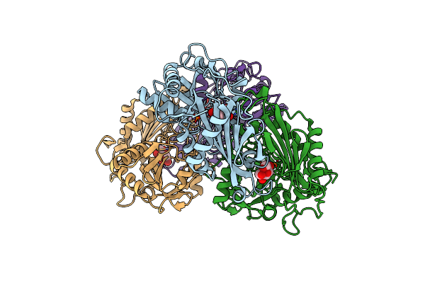 8IVP image