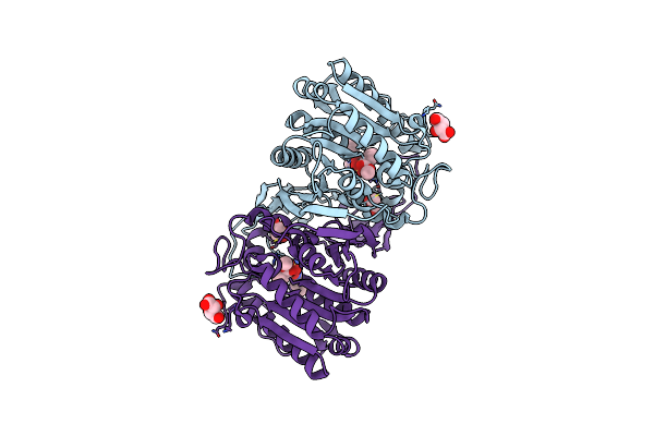 8IVS image