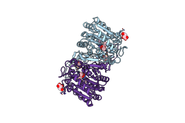 8IVT image