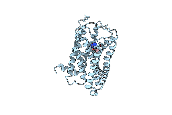 8IWE image
