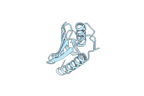 8IWI image