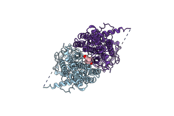 8IWK image