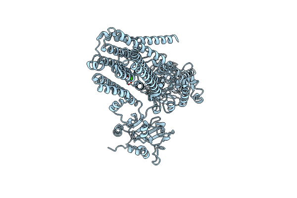 8IWP image