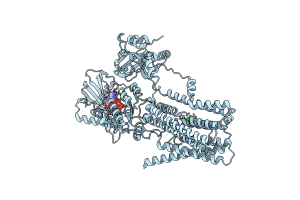 8IWR image