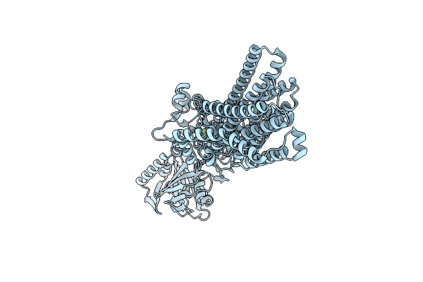 8IWT image