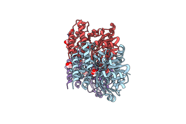 8IXH image