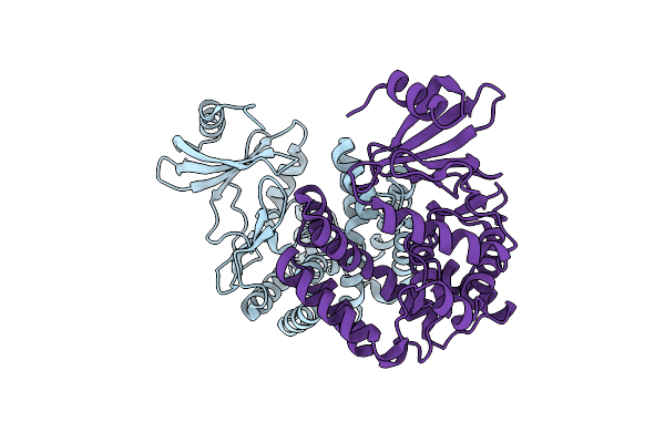8IXI image