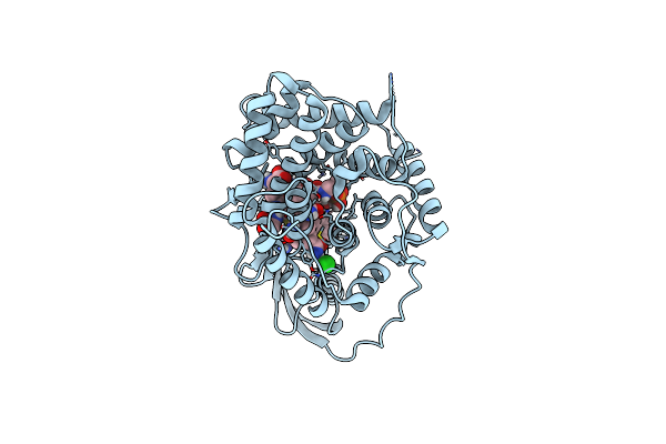 8IXT image