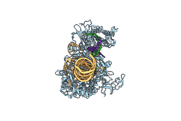 8IYQ image