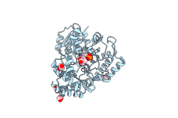 8IYT image